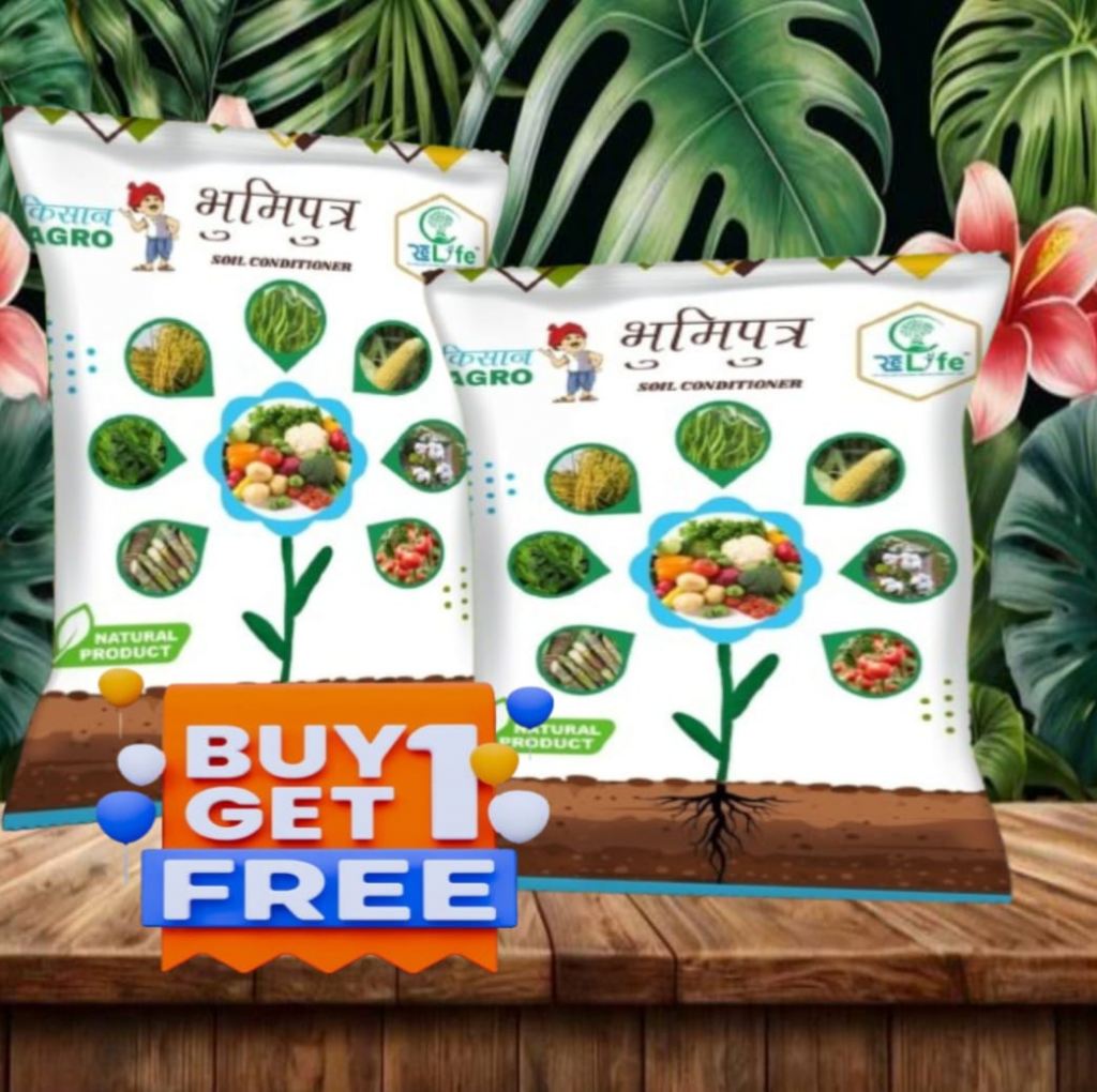 BHOOMIPUTRA  Buy-1 Get-1