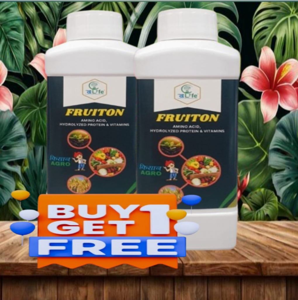 FRUITON  Buy-1 Get-1
