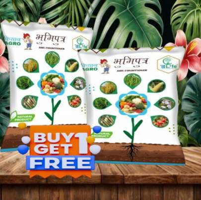BHOOMIPUTRA  Buy-1 Get-1